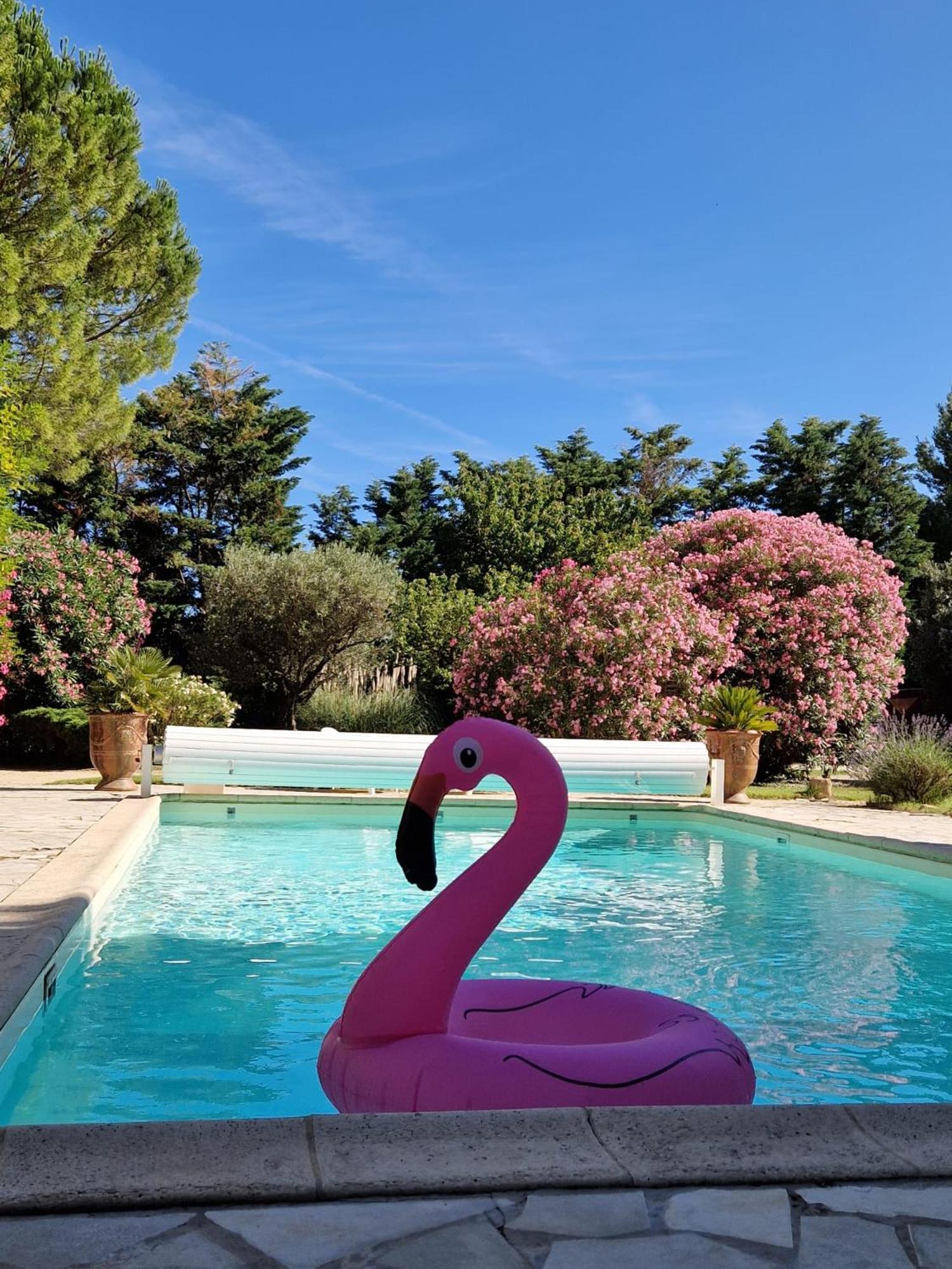 Mas Armelin Bed & Breakfast Tarascon Exterior photo