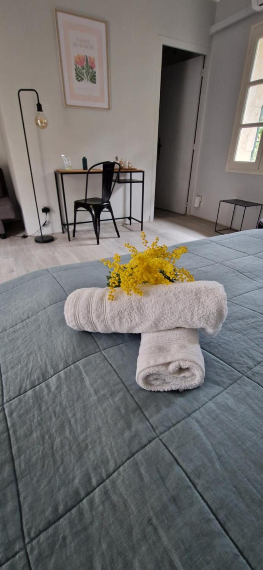 Mas Armelin Bed & Breakfast Tarascon Room photo